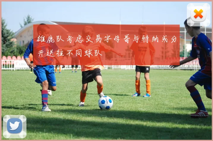 雄鹿队考虑交易字母哥与特纳或分开送往不同球队